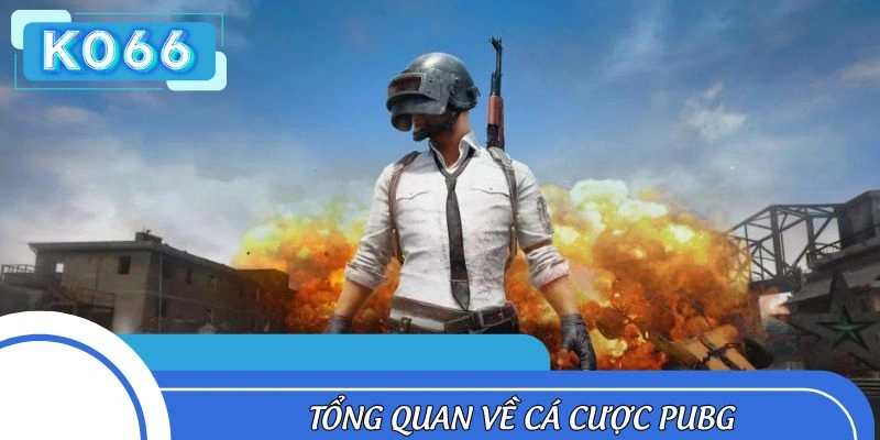 Khái quát về hình thức dự đoán PUBG