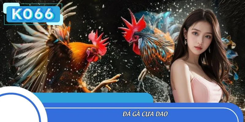 Đá Gà Cựa Dao KO66 - Kinh Nghiệm Cá Cược Dễ Trúng Lớn