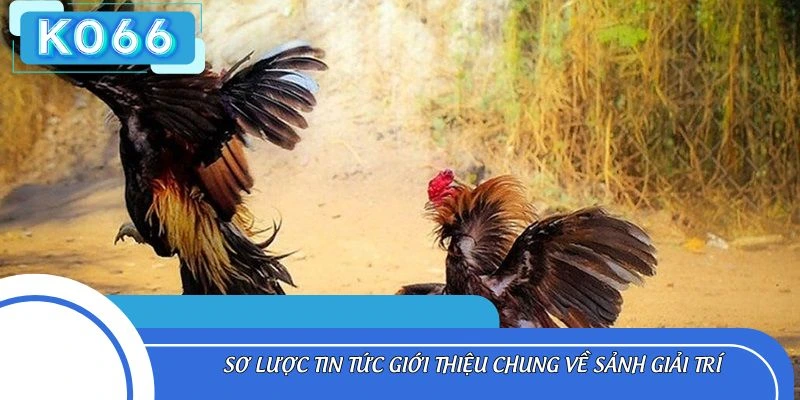Sơ lược tin tức giới thiệu chung về sảnh giải trí