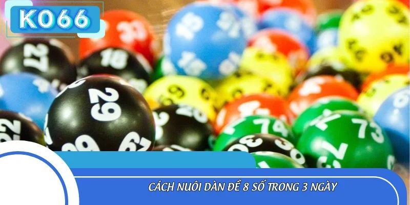 Cách nuôi dàn đề 8 số trong 3 ngày