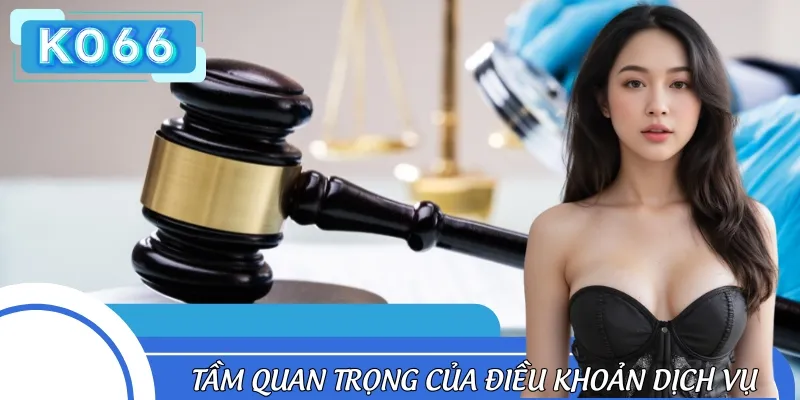 Vai trò quan trọng của các quy định trong chính sách điều khoản và dịch vụ