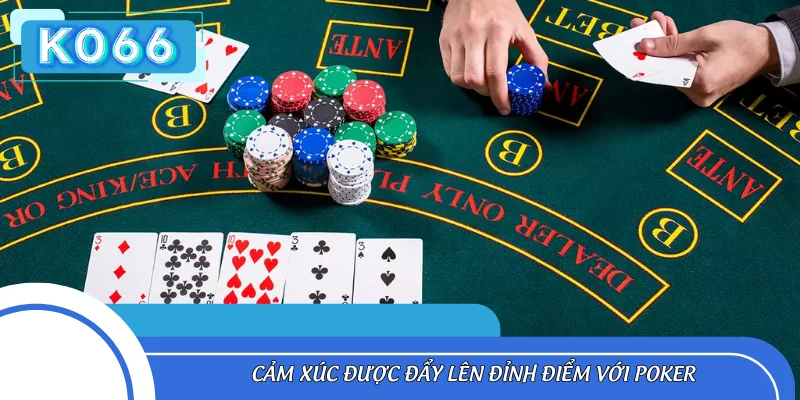 Cảm xúc được đẩy lên đỉnh điểm với Poker