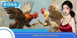 Hướng Dẫn Cá Cược Đá Gà KO66 Đơn Giản, Rinh Thưởng Lớn