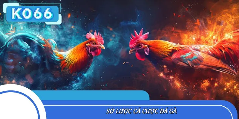 Sơ lược cá cược đá gà