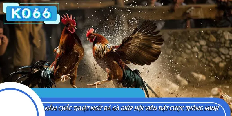Nắm chắc thuật ngữ đá gà giúp hội viên đặt cược thông minh